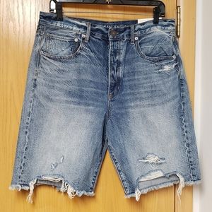 American Eagle 90's Boyfriend Short Sz.12